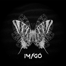 Imago